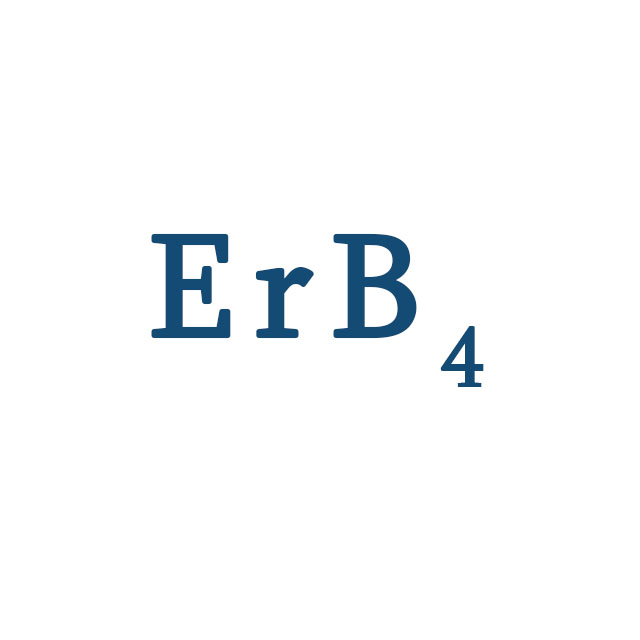 Boruro de erbio (ErB4) -Polvo